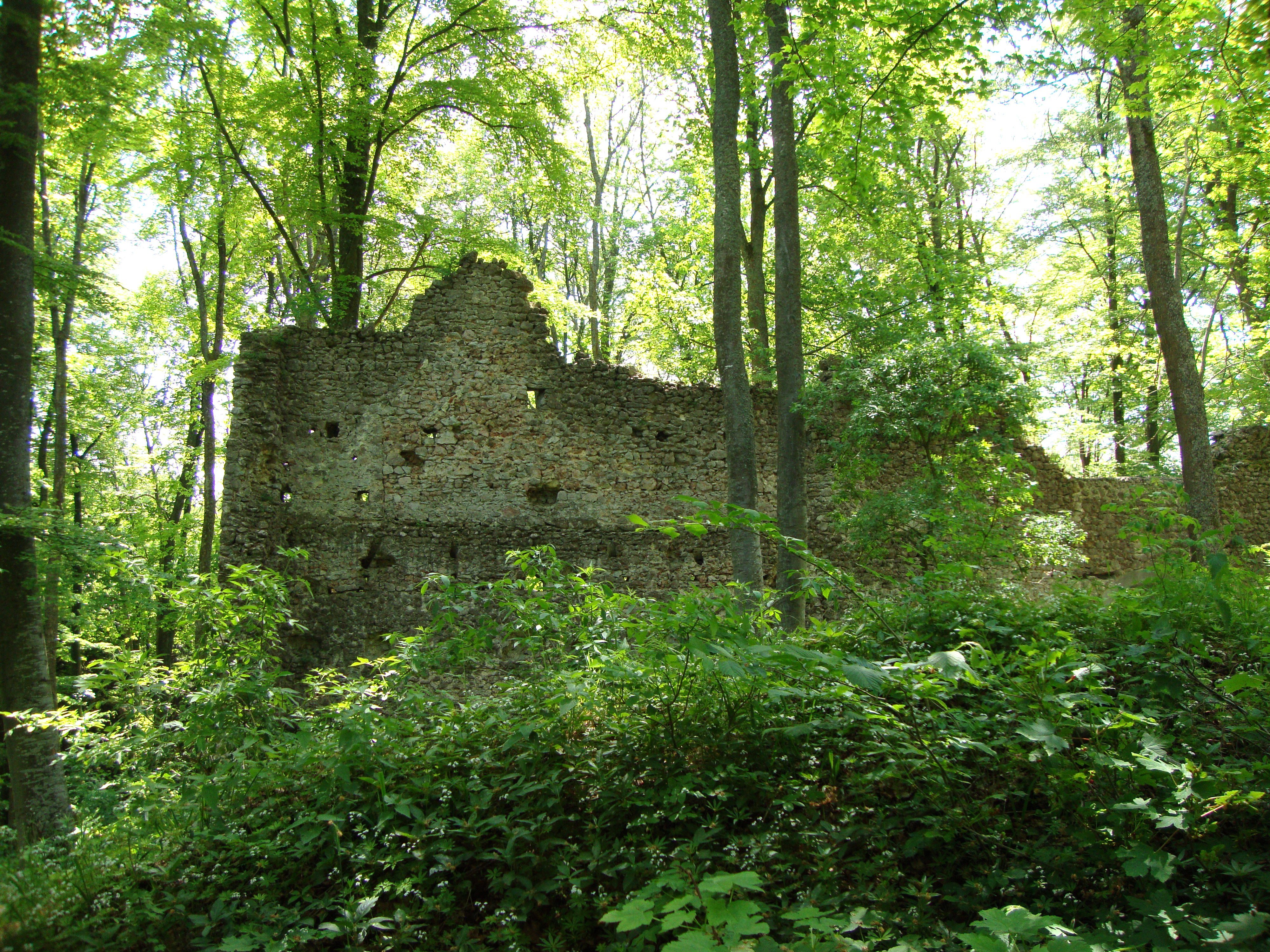 Poetische Sommerwanderung