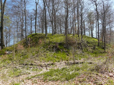 Turmberg Foto 1