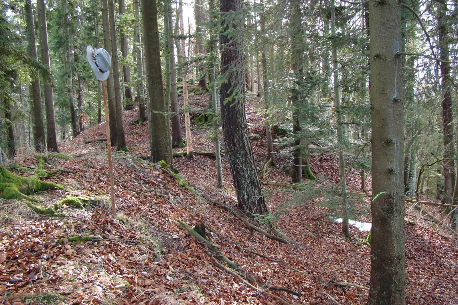 ehem. Burg Wildentierberg (nicht mehr sichtbar)