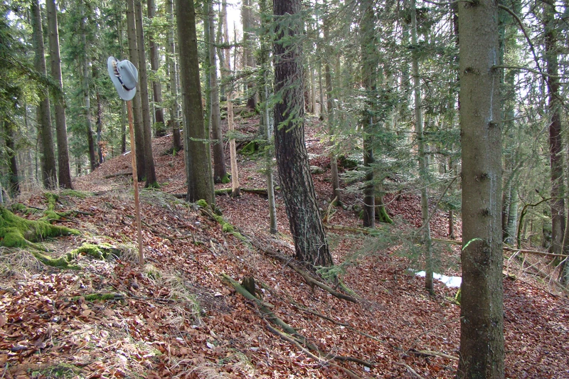 ehem. Burg Wildentierberg (nicht mehr sichtbar)