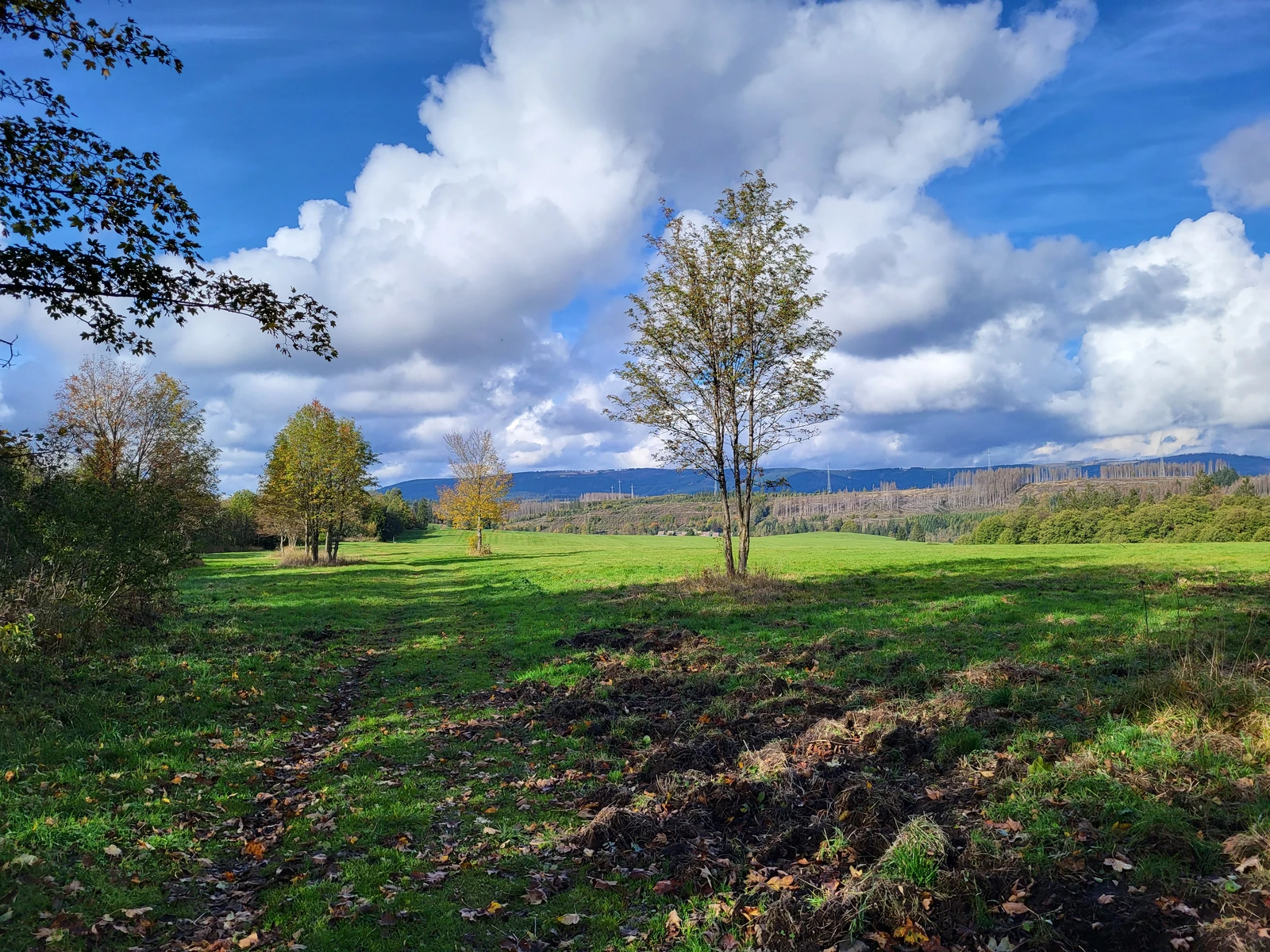 Mühlenberg
