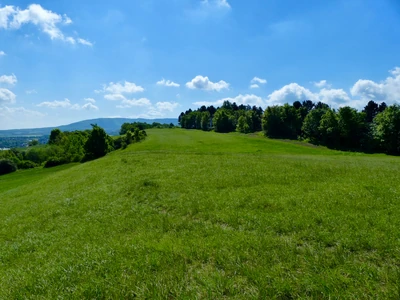 NSG Östlicher Langenberg Foto 2
