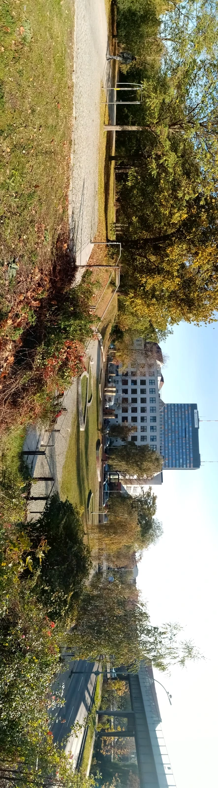 Elise-Tilse-Park