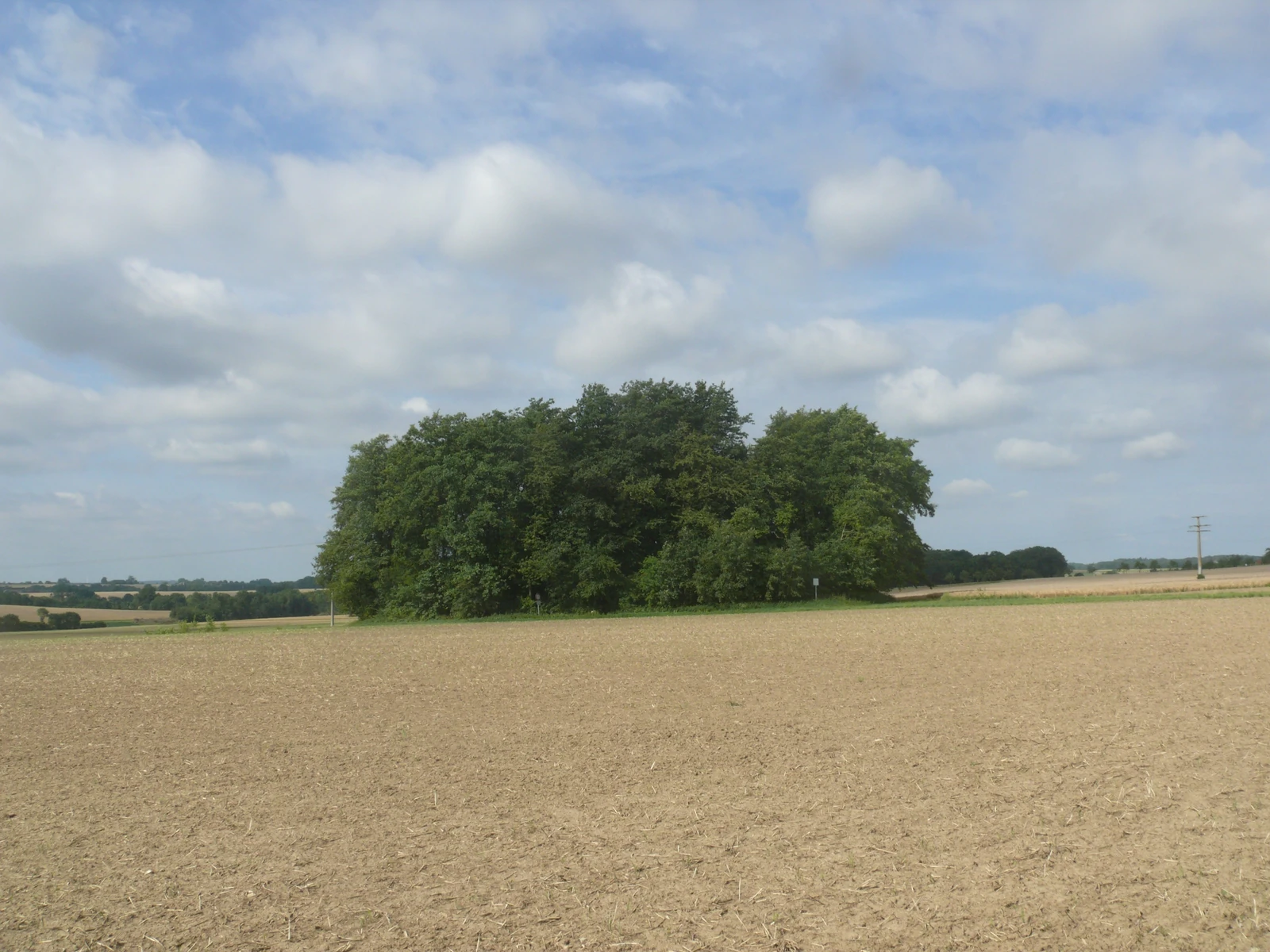 Burg Flyhöhe