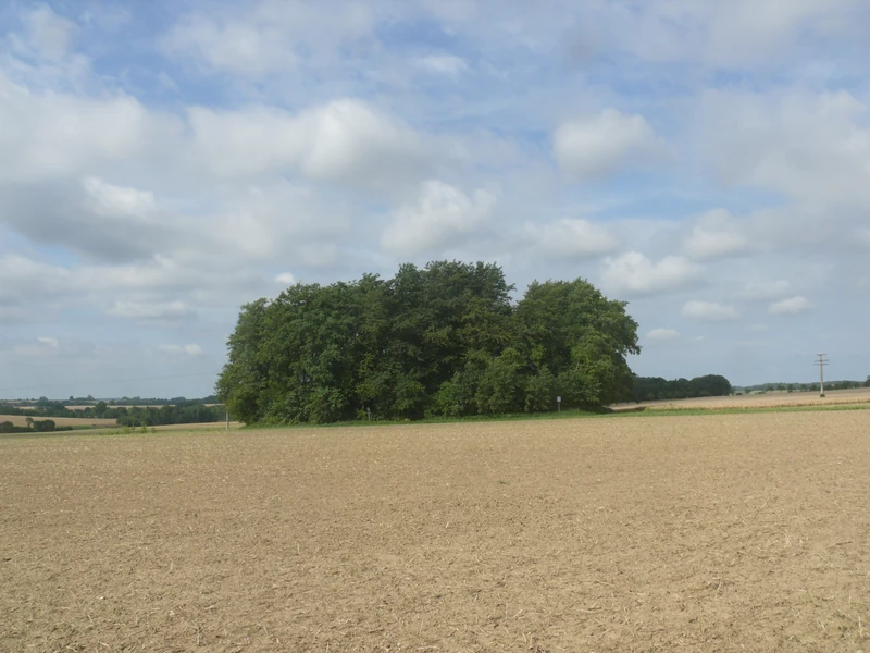 Burg Flyhöhe
