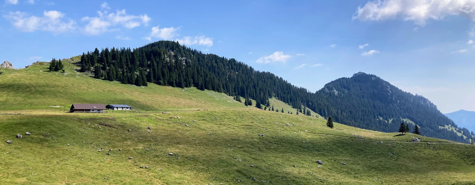 Salwand