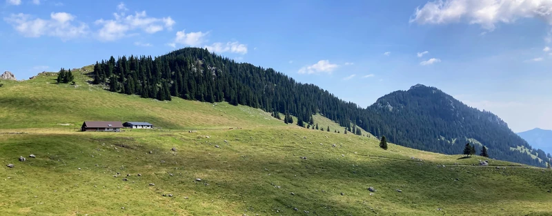 Salwand