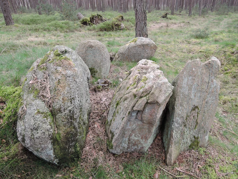 Großsteingrab Braudel 1