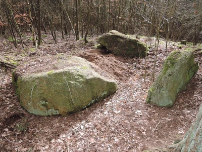 Großsteingrab Braudel 1 Foto 2
