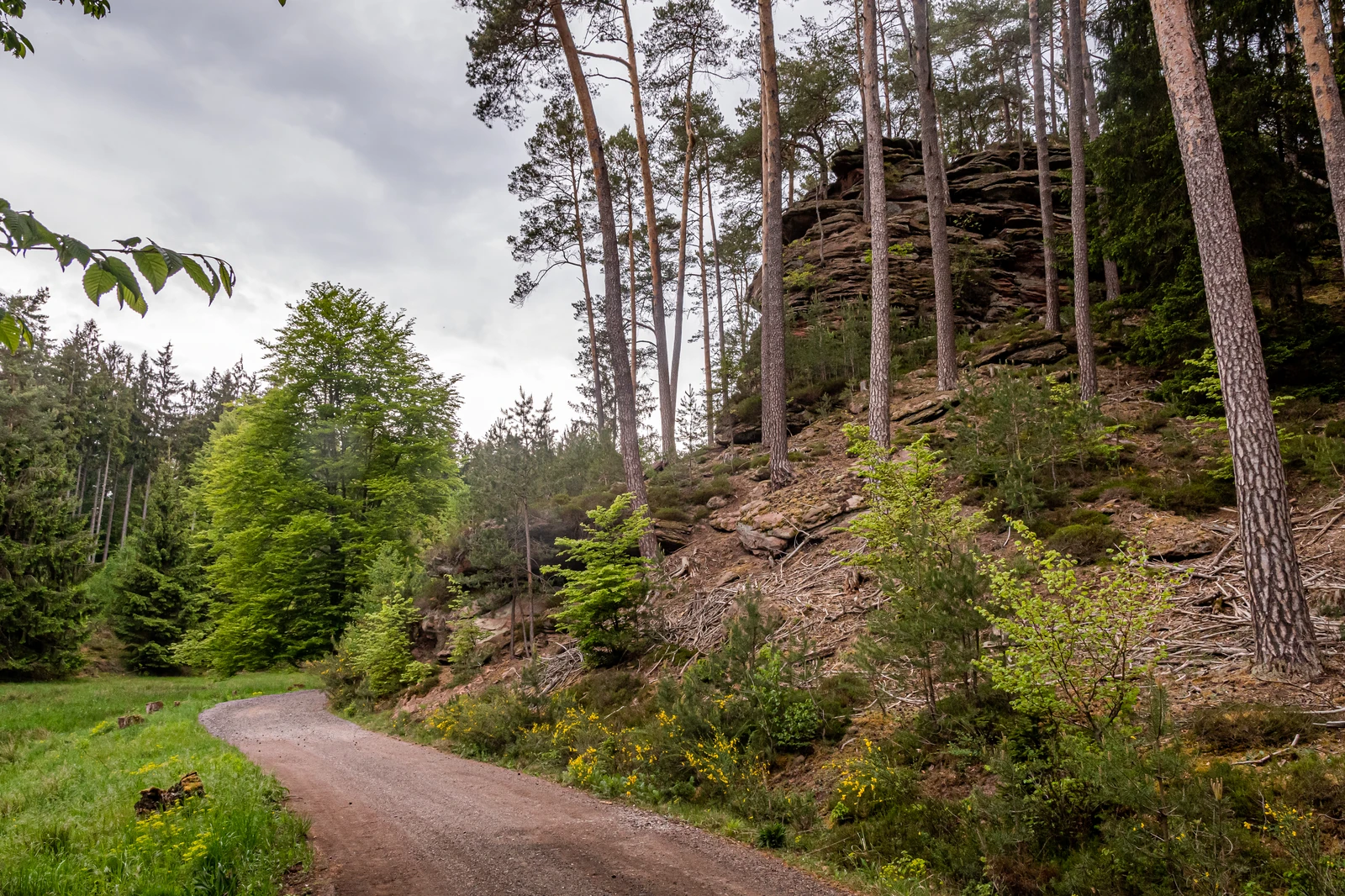 Naturschutzgebiet Moosbachtal