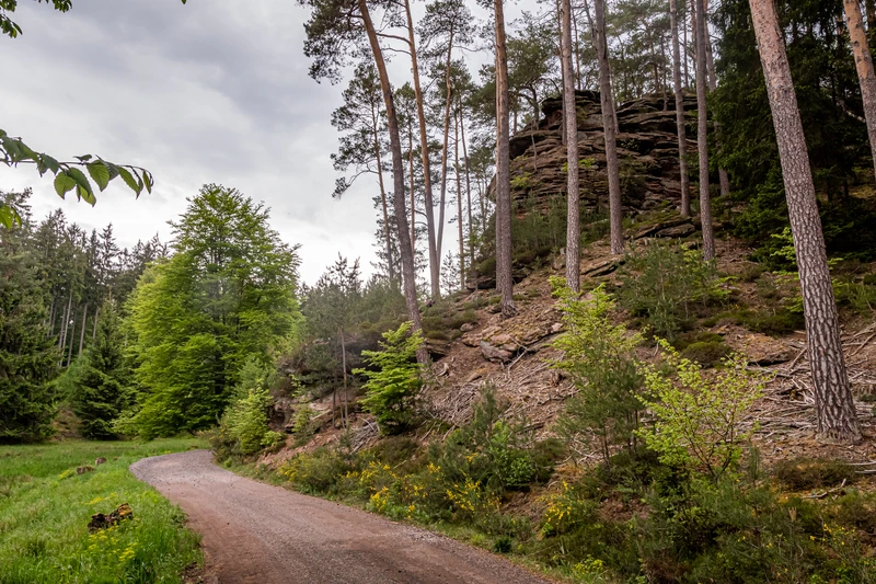Naturschutzgebiet Moosbachtal