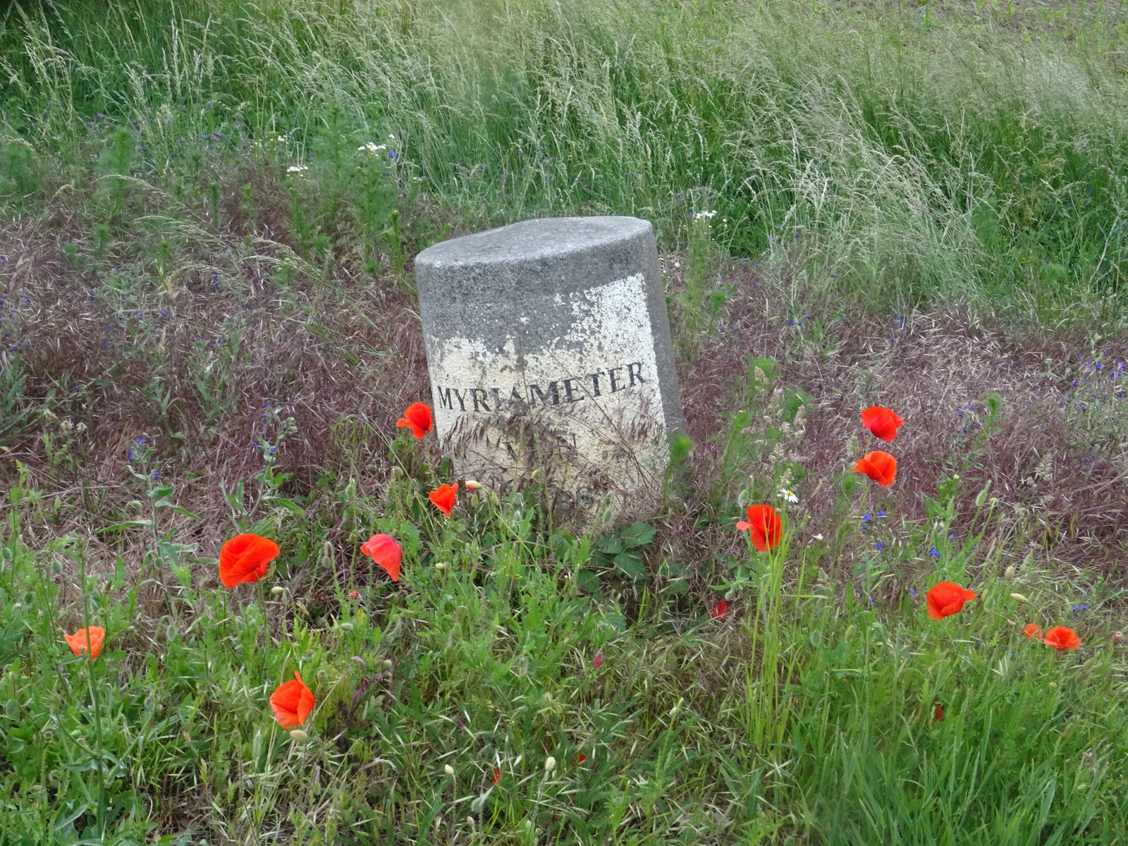 Anhaltischer Meilenstein