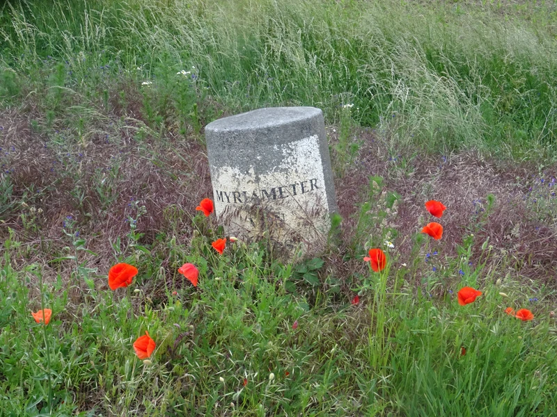 Anhaltischer Meilenstein