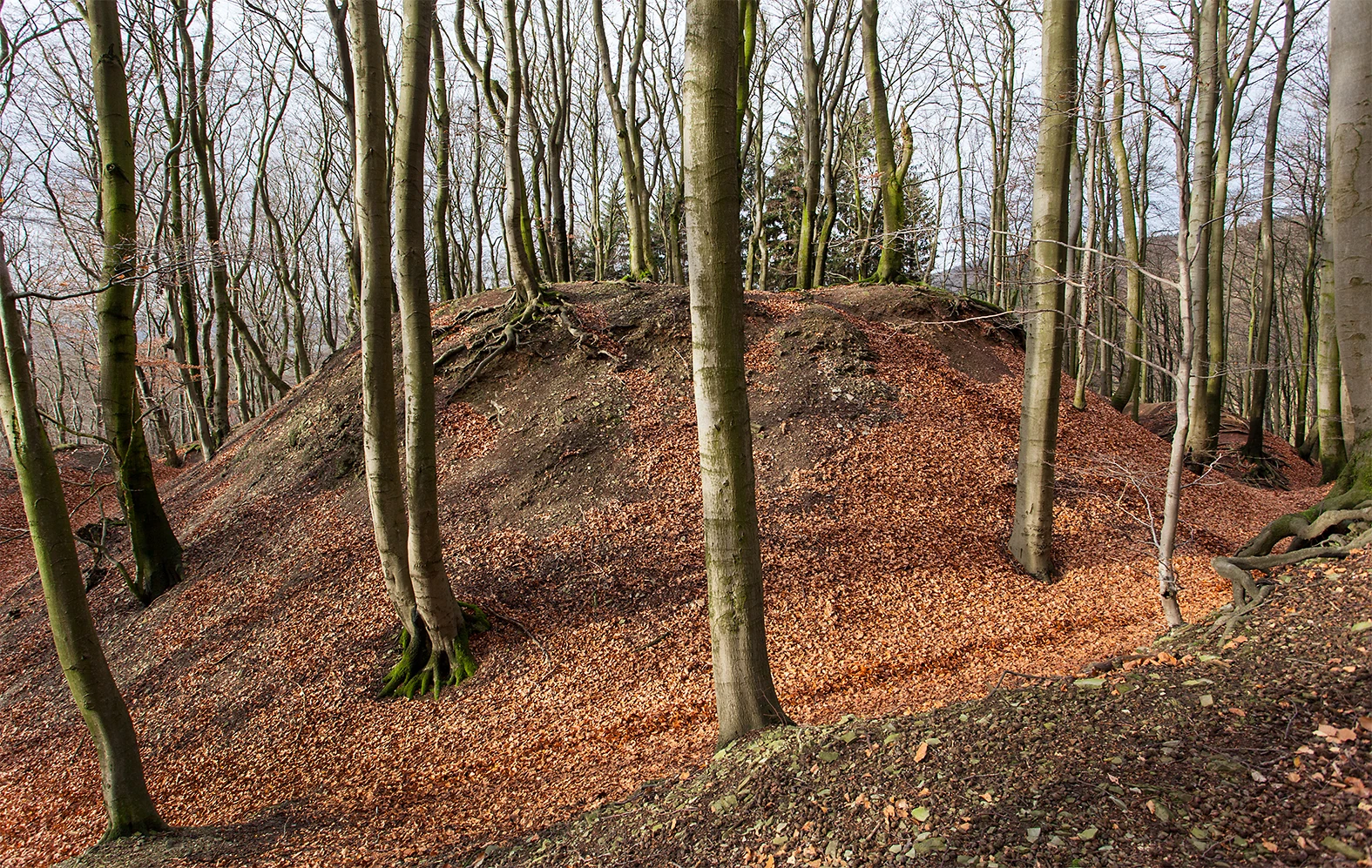 Alt-Sternberg
