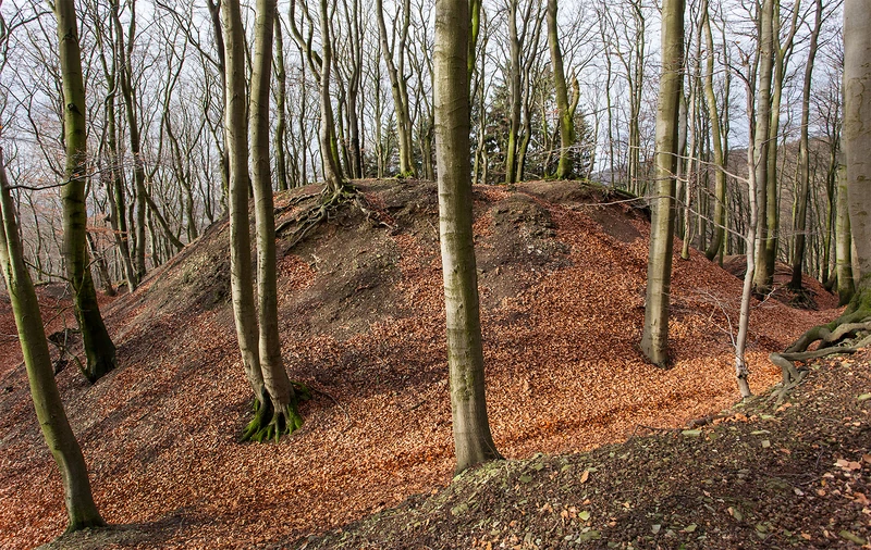 Alt-Sternberg