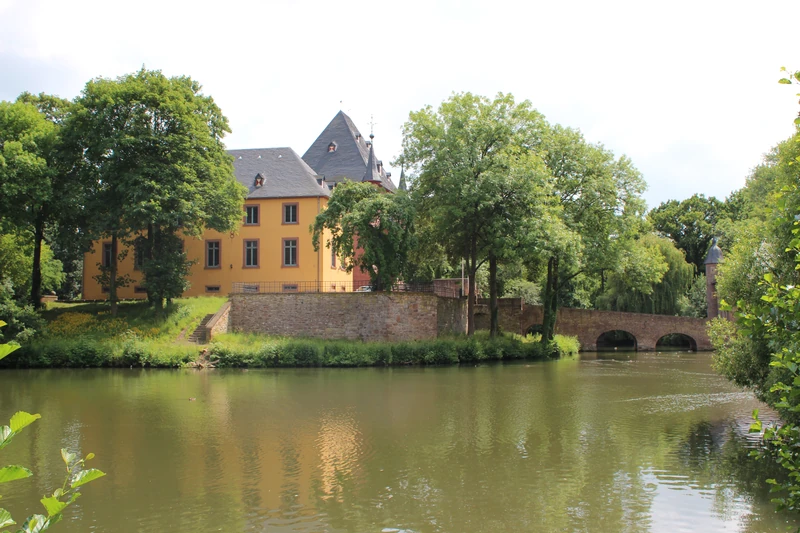 Burgauer Wald