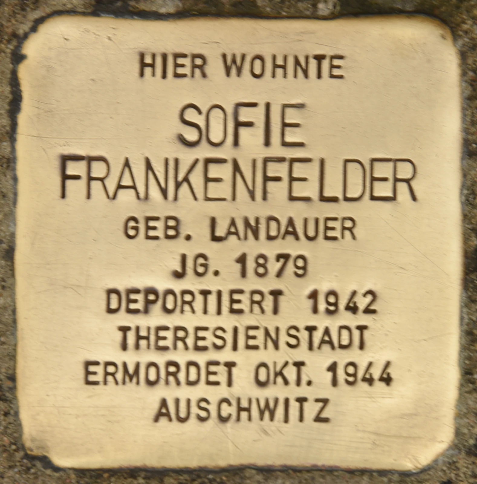 Sofie Frankenfelder