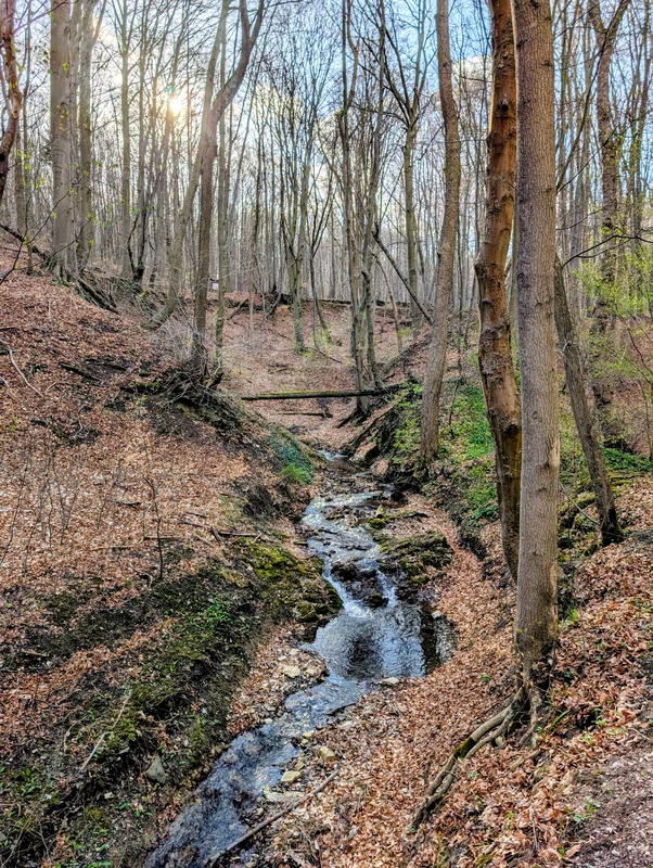 Krähenberg