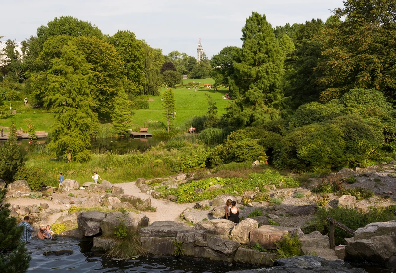 Damwildgehege im Grugapark
