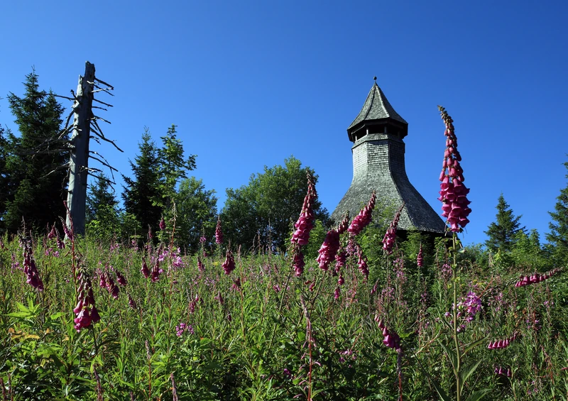 Hochkopf