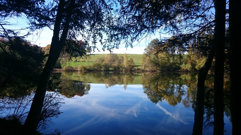 Kreuzweiher