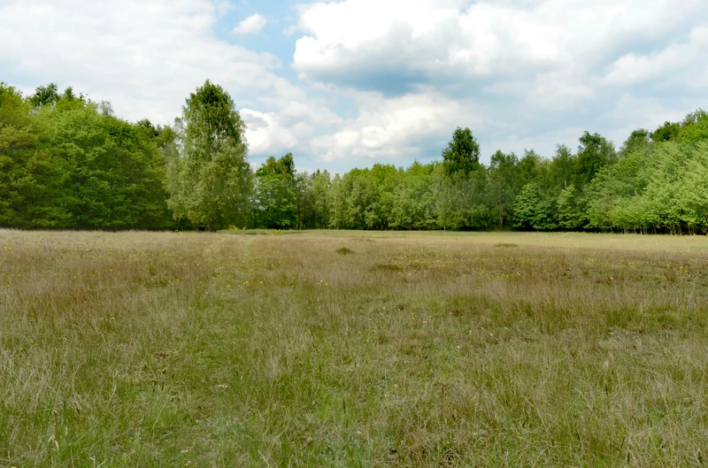 Naturschutzgebiet "GRönauer Heide, Grönauer Moor und Blankensee"