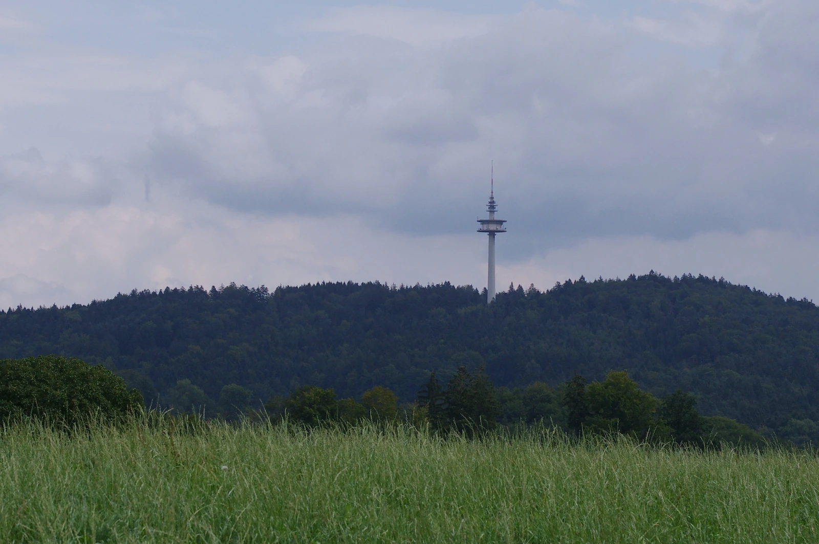 Hohe Brach