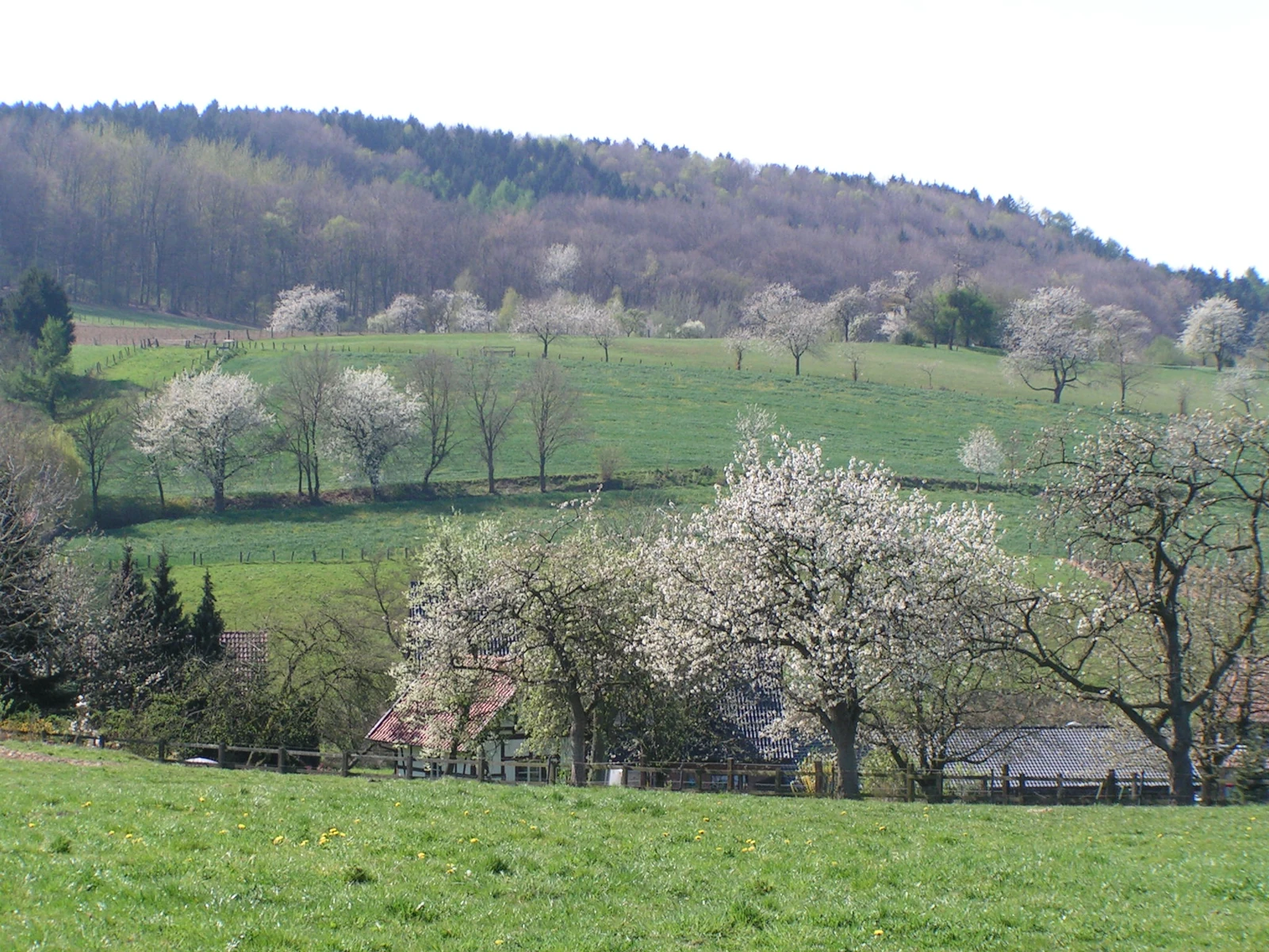 TERRA.vita