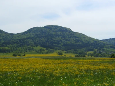 Hoher Fels Foto 1