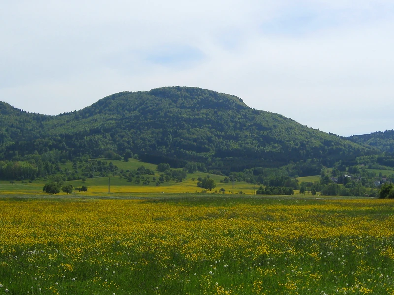 Hoher Fels