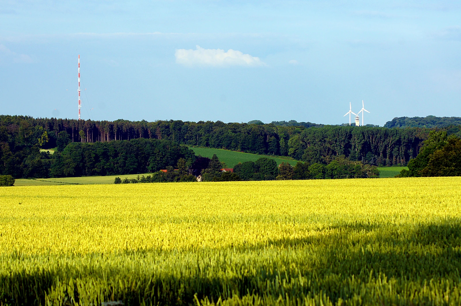 Naturschutzgebiet Baumberge