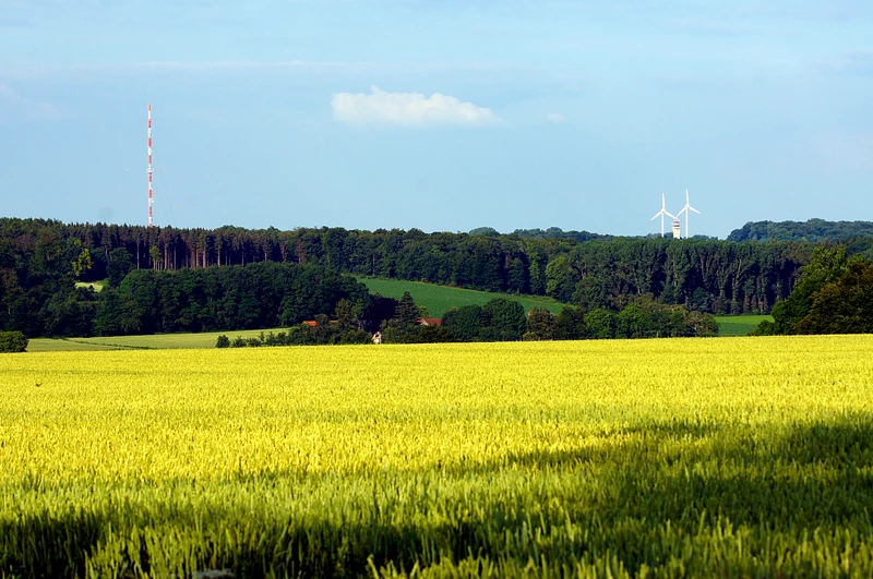 Naturschutzgebiet Baumberge