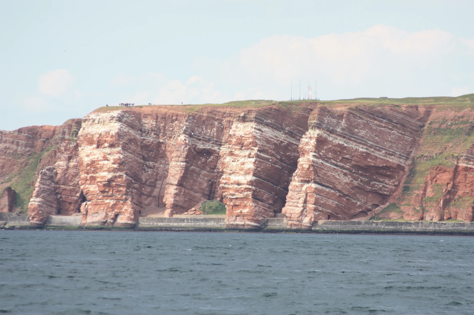 Lummenfelsen der Insel Helgoland