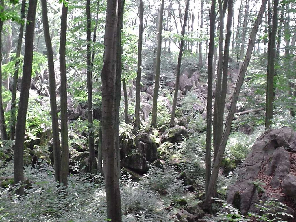 Felsenmeer