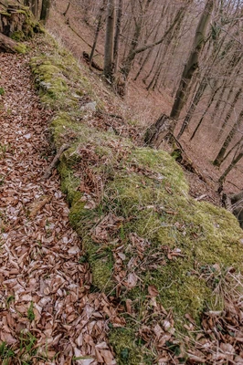 Lauenburg Foto 1