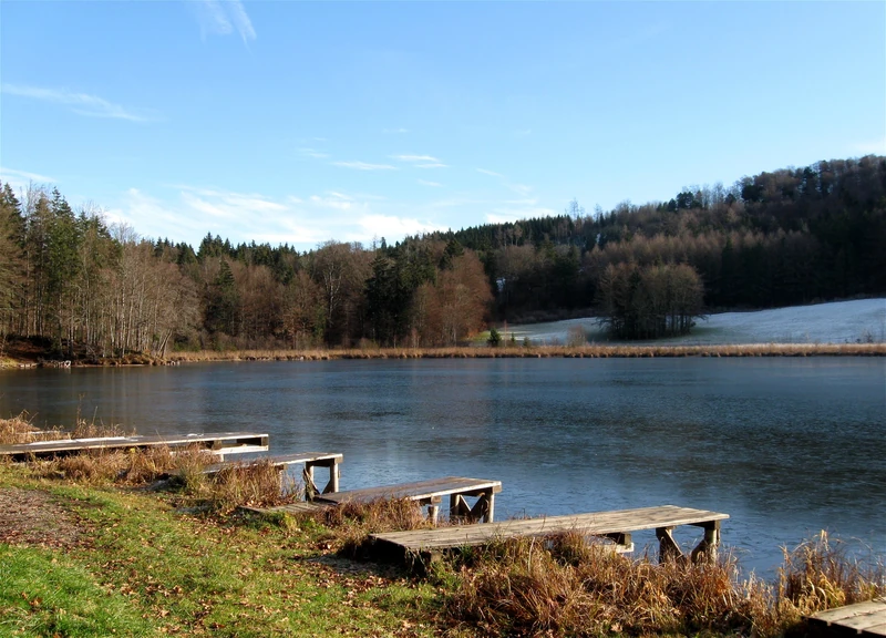 Waldweiher