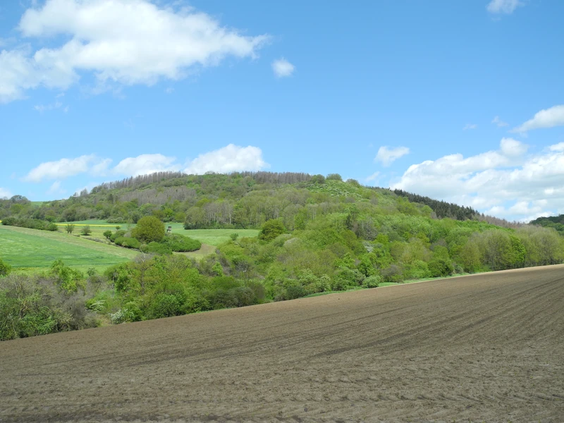 Mosenberg