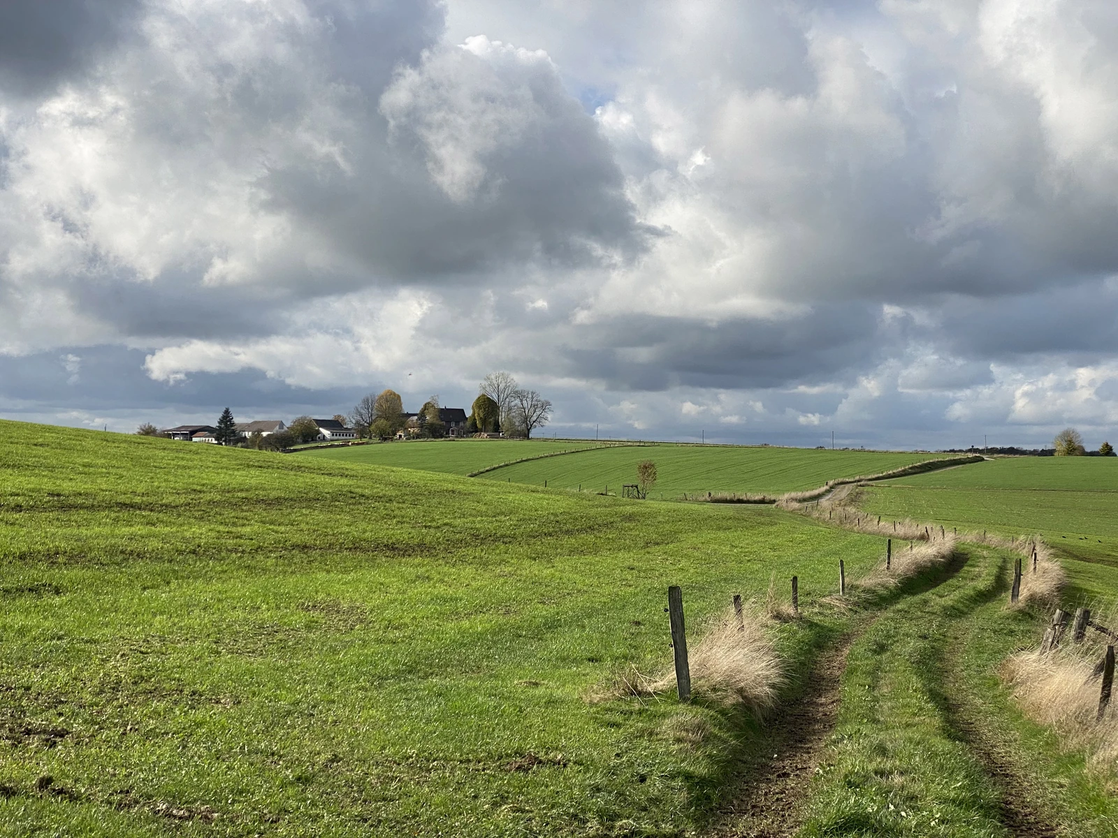 Domblick