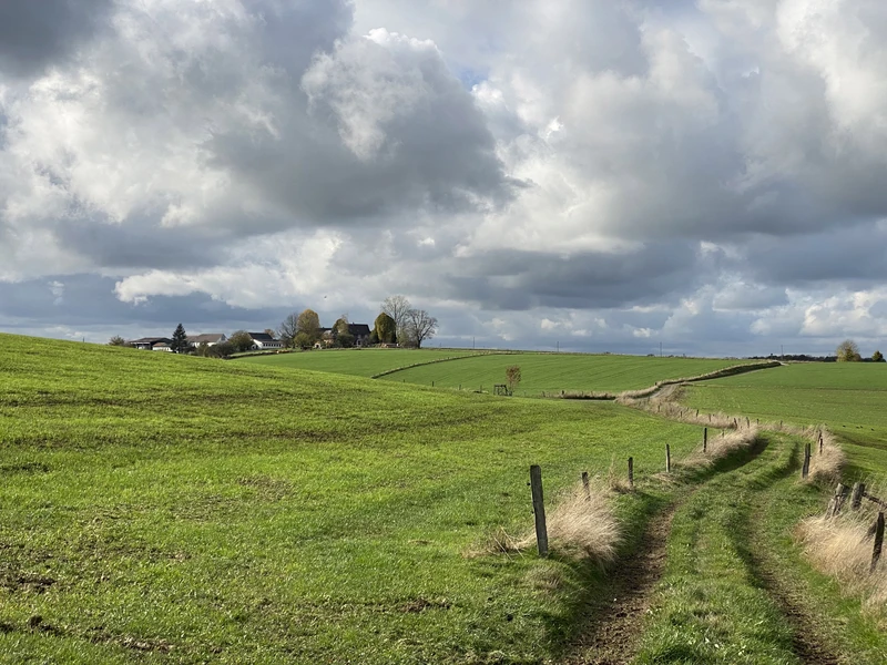 Domblick