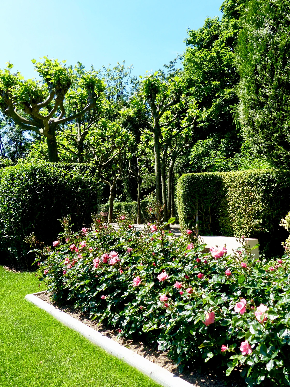 Rosengarten