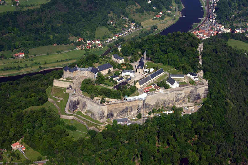 Königsnase