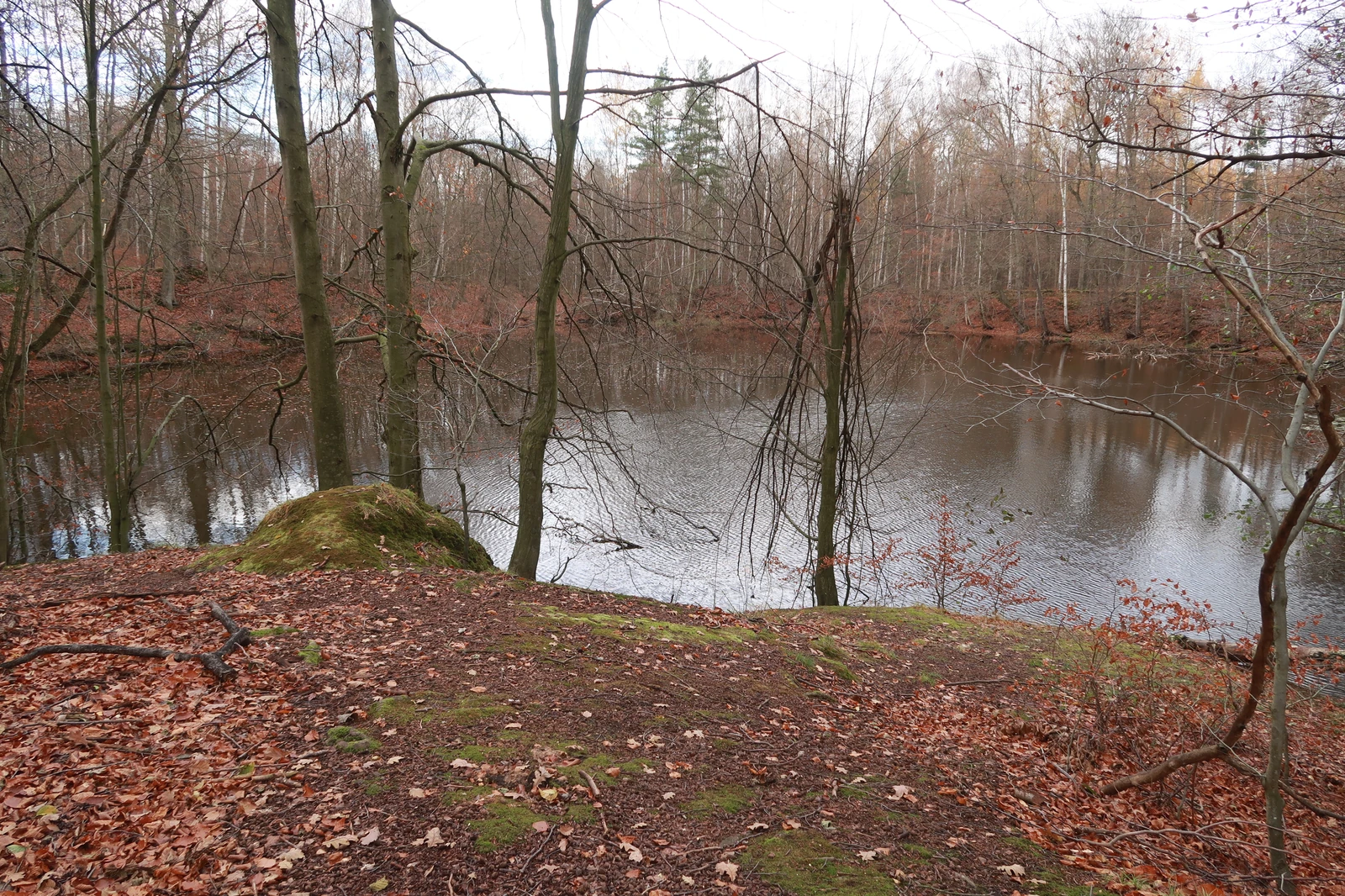 Märchensee Langenleuba-Niederhain