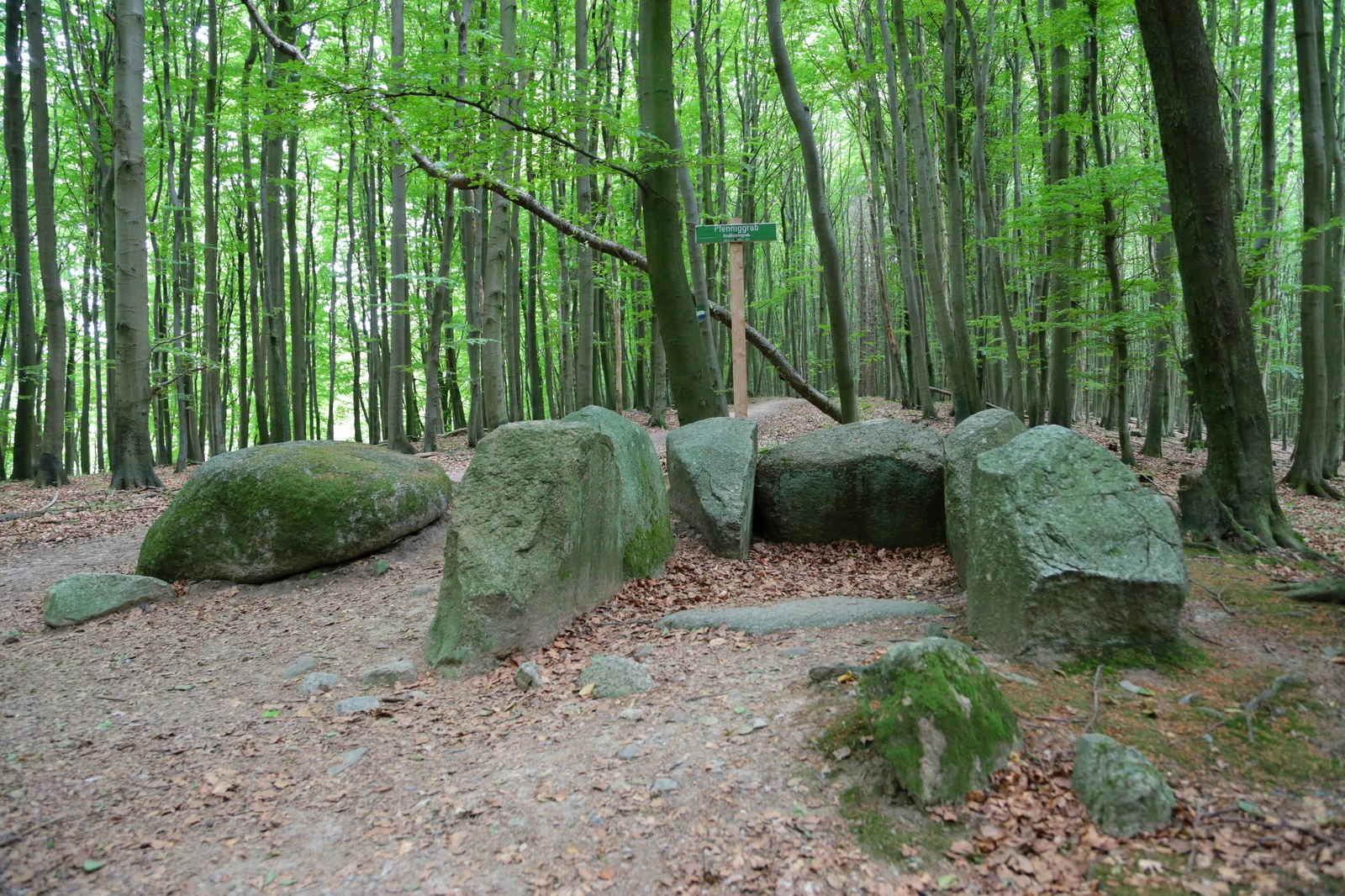 Großsteingrab Hagen-Stubnitz 1
