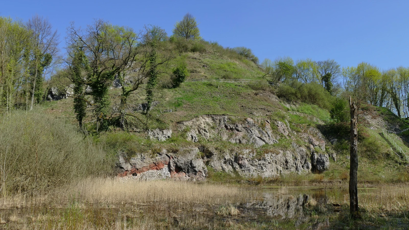 Kalkberg