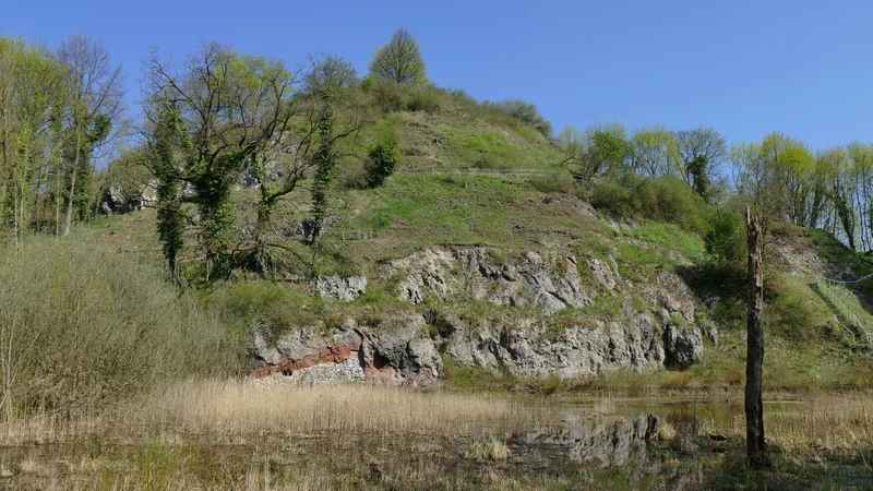 Kalkberg