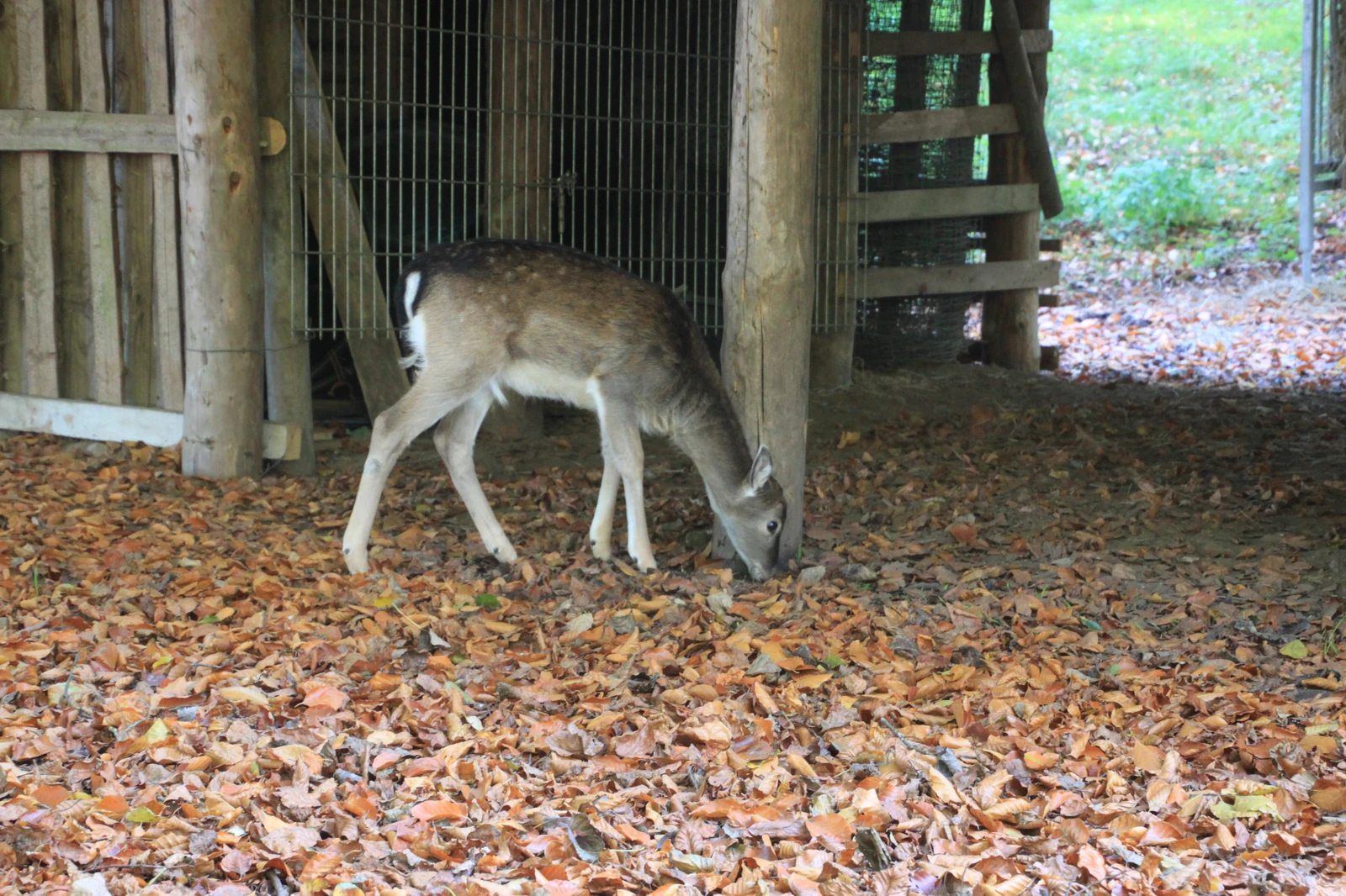 Wildpark Malente