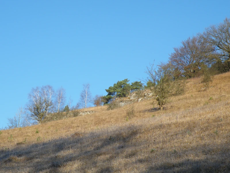 Hasental / Kregenberg