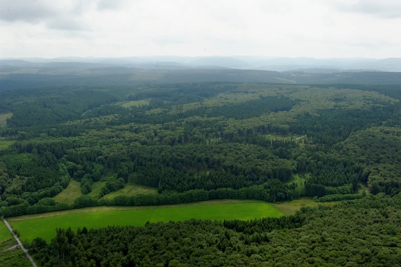 Bachtäler im Arnsberger Wald
