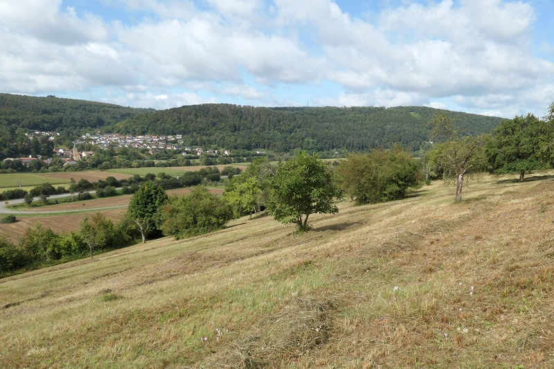 Auweinberge-Fuchsenloch