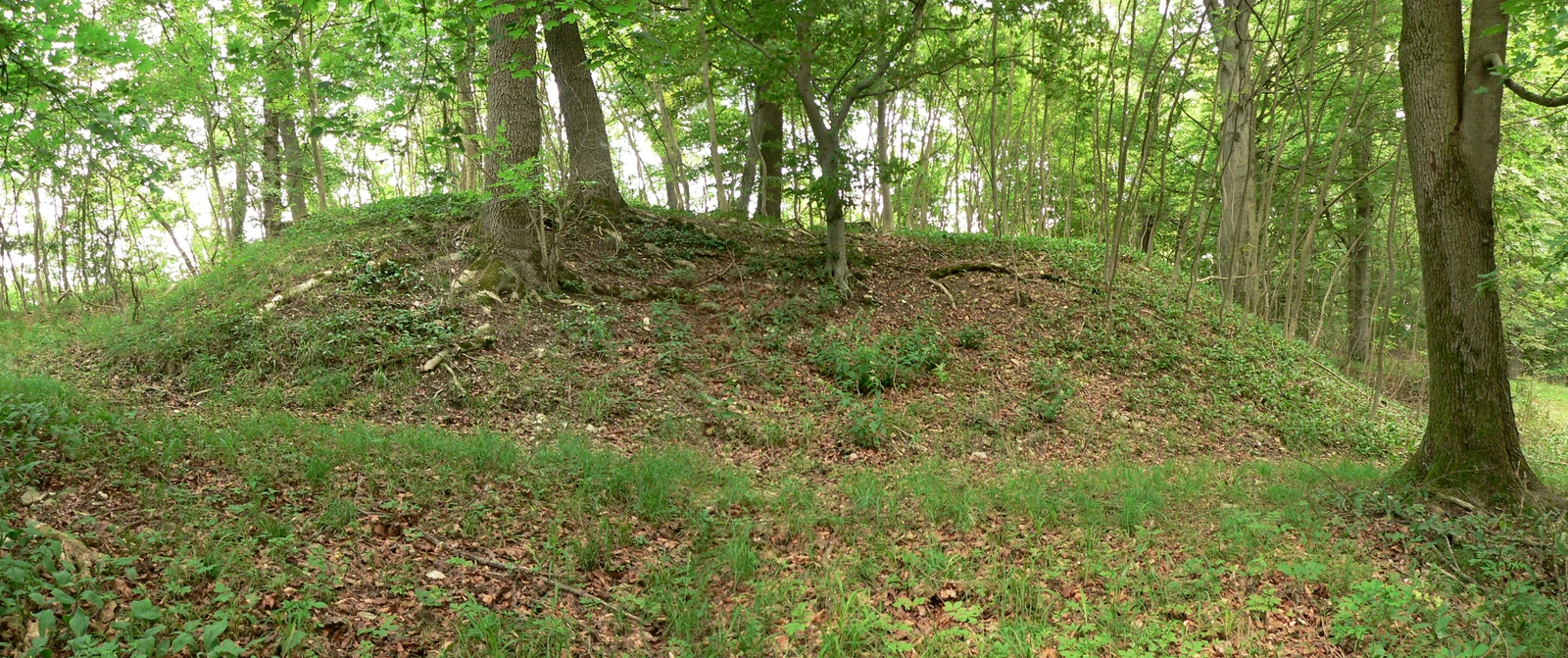 Alte Burg